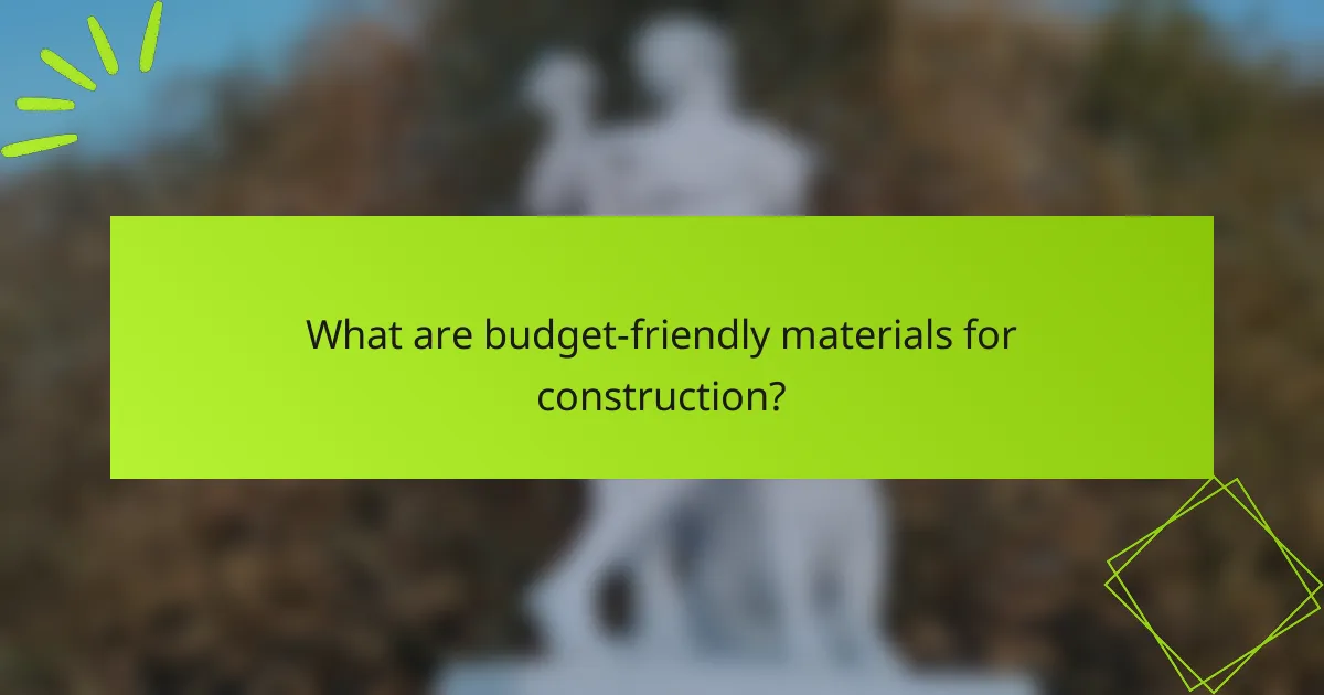 What are budget-friendly materials for construction?